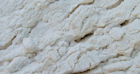 Dairy_Bakery_White-Powder_Med-Res-1