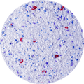chemical-circle-frame